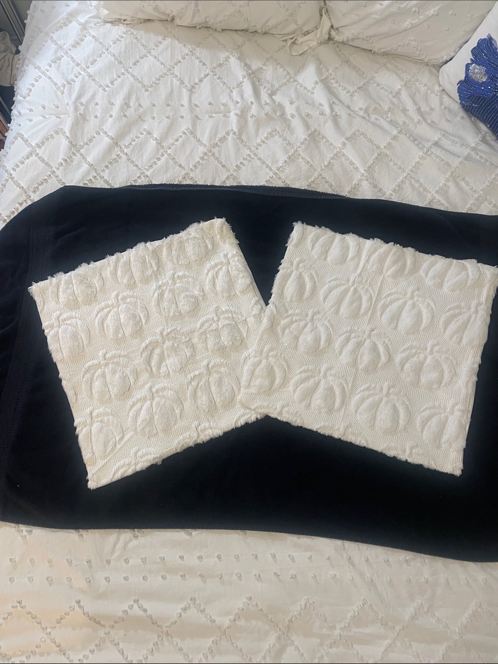 White Textured Pumpkin Pillow Covers - Set of 2 new